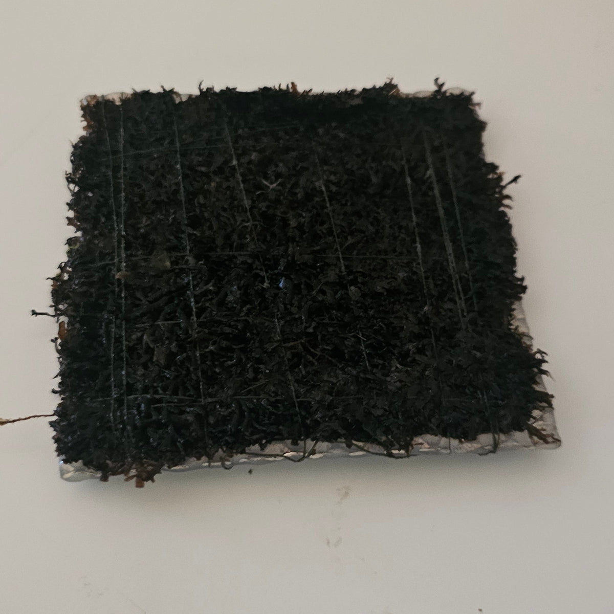 Coral moss (on matt 3 x 3in)