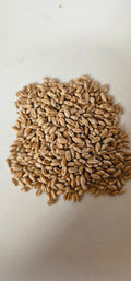 Premium Organic Wheat Berries – Clean Culture Starter Grade